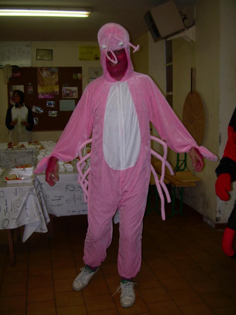 Carnaval 2013 