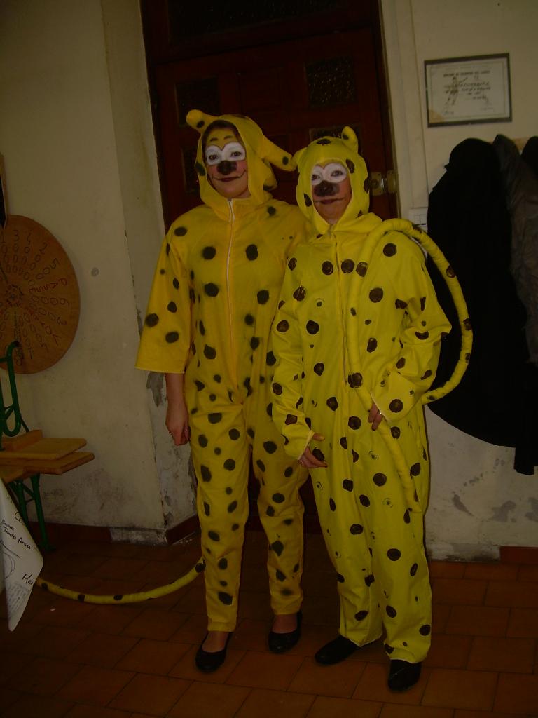 Carnaval 2013 