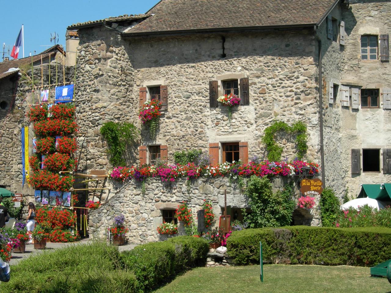 Ivoire, 4 fleurs