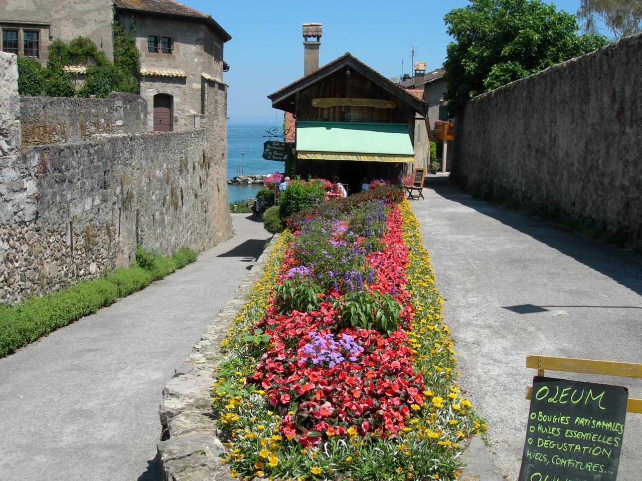 Ivoire, 4 fleurs