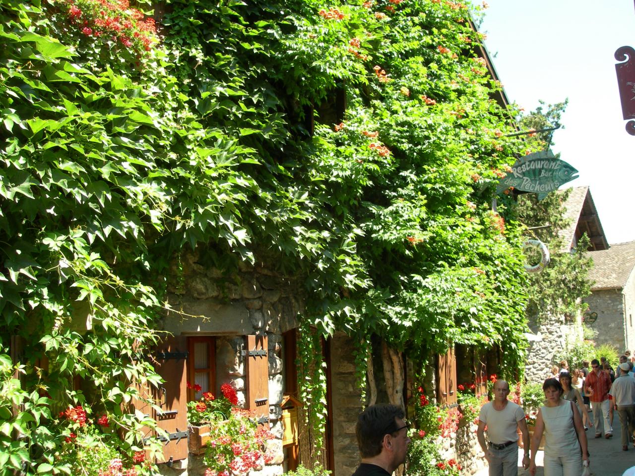 Ivoire, 4 fleurs