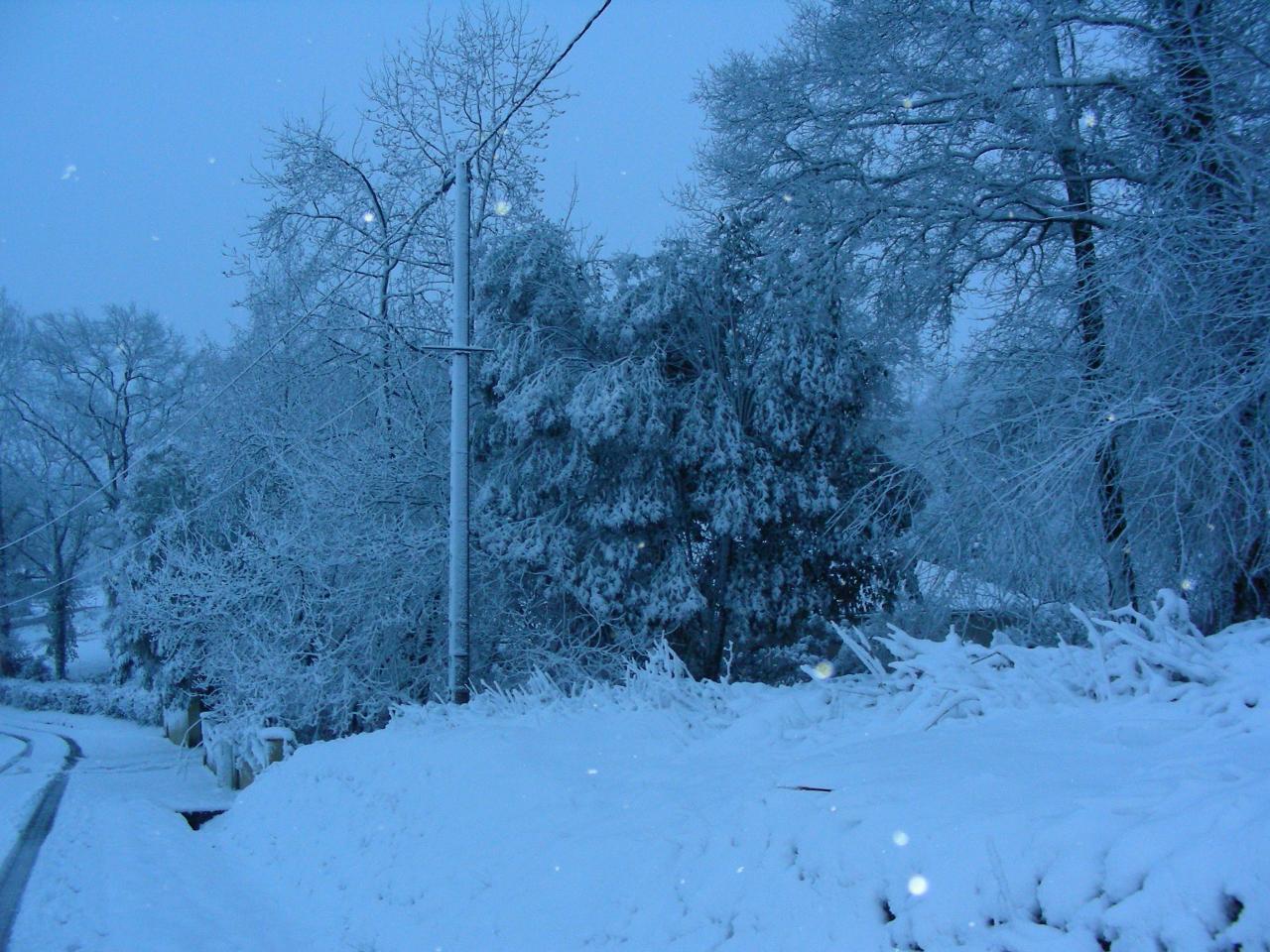 Mardi 3 février 2015