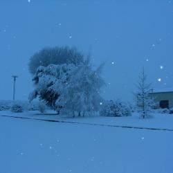 Mardi 3 février 2015