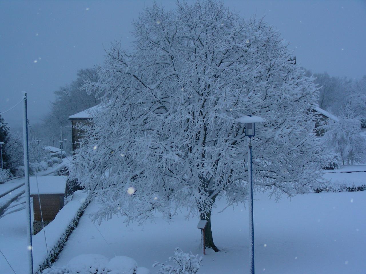 Mardi 3 février 2015