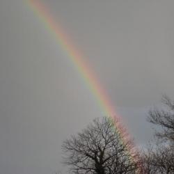 Arc en ciel