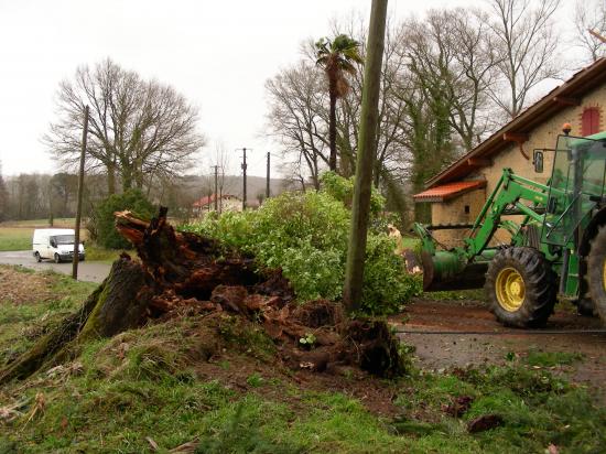 Tempête