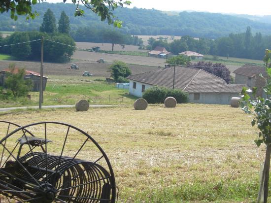 Travaux des champs