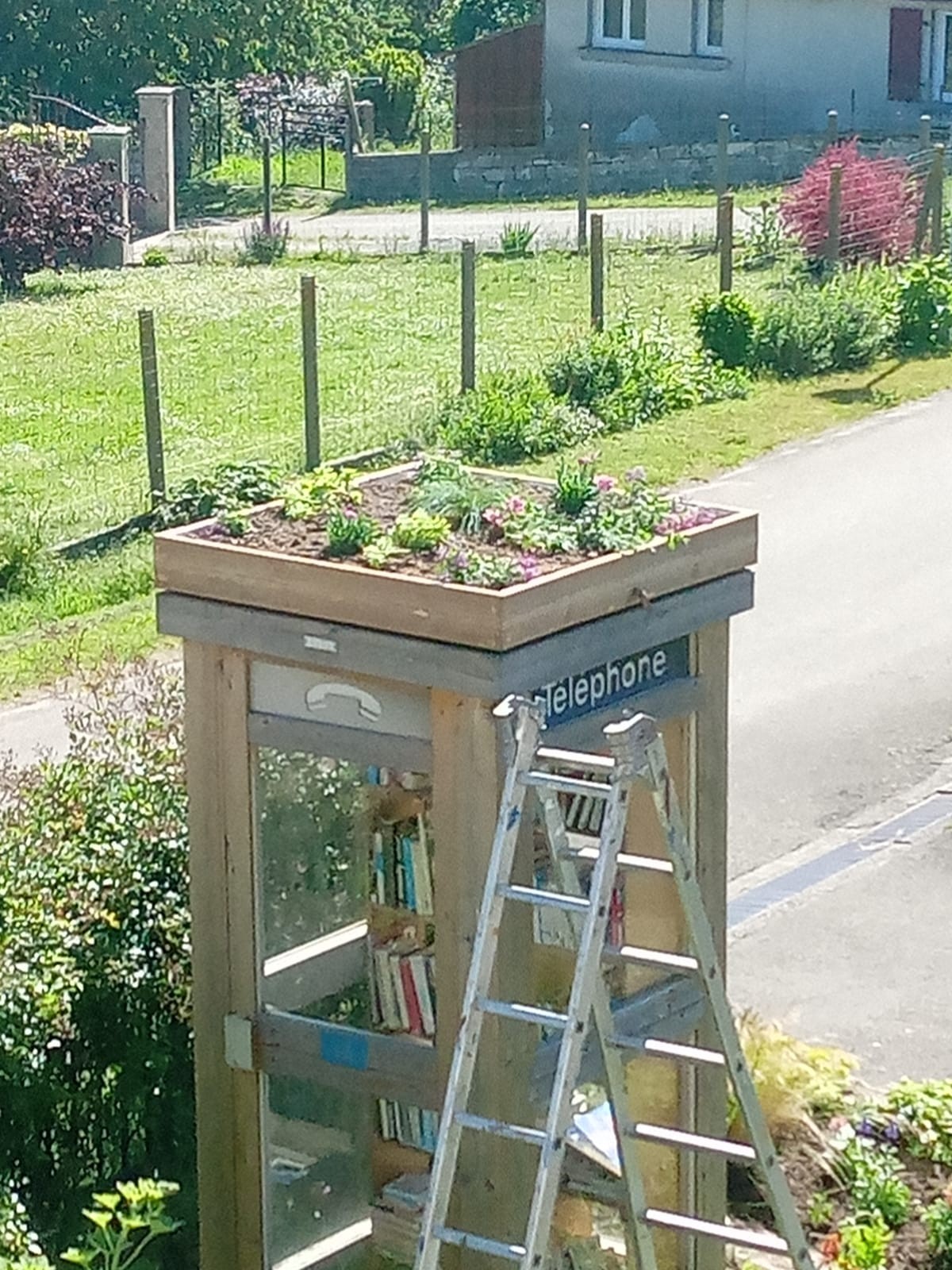 Plantation jeudi 20 mai 2021 