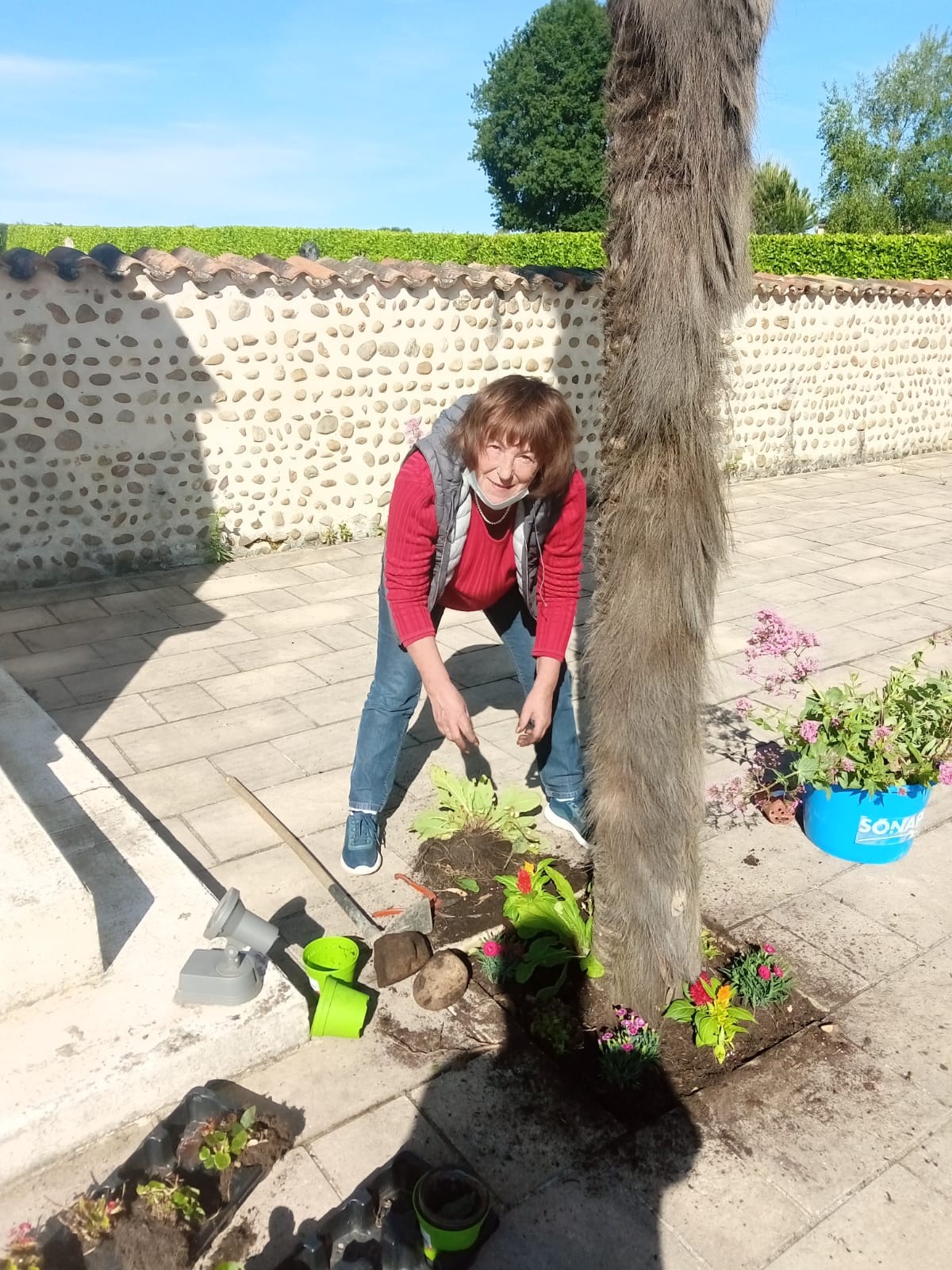 Plantation jeudi 20 mai 2021 