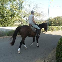 Fêtes patronales 2011